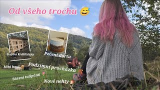 VLOG 13  Narozeninový dort🍰 podzimní procházka 🍂 sázení tulipánů 🌷 nová králíkárna 🐰 [upl. by Runkel]