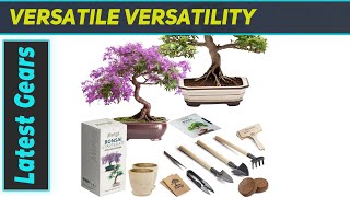 Bonsai Growing Seed Kit  2X Japanese Bonsai Trees  Complete Indoor Starter Kit for Bonsai [upl. by Ahsieuqal]