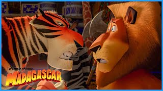 The Crew Join the Circus  Extended Preview  DreamWorks Madagascar [upl. by Divan]