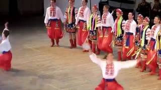 Hopak Cossack dance is a Ukrainian folk dance with technically amazing acrobatic feats [upl. by Nimesay]