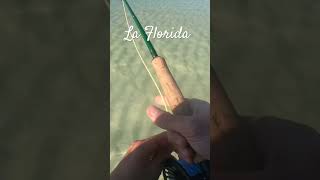 La Florida invites you flyfishing redfish 30a pesopluma carnales vamos [upl. by Yole]