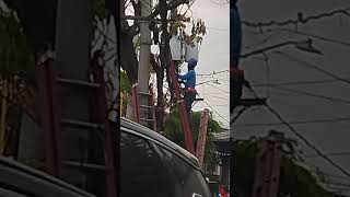 Lineman working with extendable ladder [upl. by Schlosser]