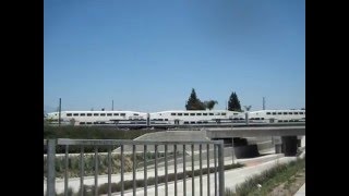 Metrolink crossing over Ramona Blvd [upl. by Hayikat251]