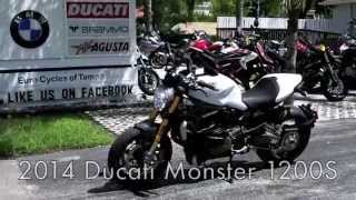 2014 Ducati Monster 1200S White at Euro Cycles of Tampa Bay [upl. by Eemyaj]