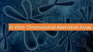 G T 11 What is Chromosomal Aberration Assay GenToxicology Module 11 [upl. by Latoniah]