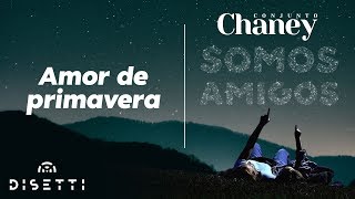 Conjunto Chaney  Amor De Primavera  Salsa con Letra Romantica [upl. by Sucram]