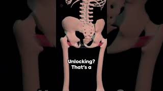 LOCKING AND UNLOCKING OF KNEE smritibhatia kneepain kneejoint biomechanics physiotherapyfacts [upl. by Jandel]