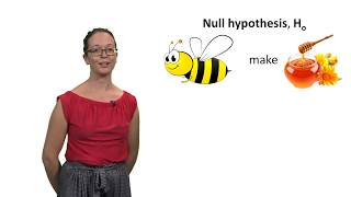 Null and alternative hypotheses with Lindsey Leach [upl. by Euphemia]