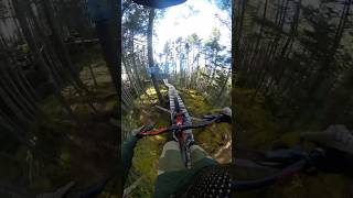 Crazy trail work ⚫️✅ mtb mountainbikejumps quebec mountainbike [upl. by Idet651]