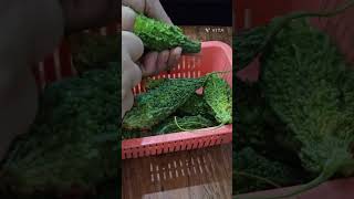 Keema Karela Recipe 🌸 gharkakhana gharkcookingathome keemakarela keemaindianfood foodie [upl. by Loziram]