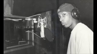 Big L  Best Freestyles 1992  99 [upl. by Ehudd]