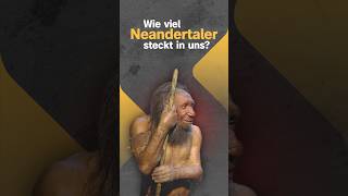 Was unsere NeandertalerDNA mit Diabetes zu tun hat [upl. by Eyllek]