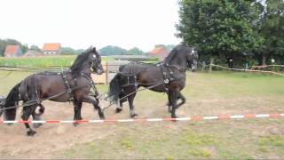 Paarden mennen op Waeyenberg [upl. by Onibag]