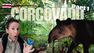 CORCOVADO  Hiking in Costa Ricas wildest jungle  PART 1 [upl. by Jamil]