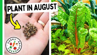 Plant These 7 Crops In August 🌱 [upl. by Nessi]