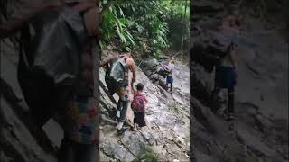 Panama 🇵🇦 jungle crossing  panama jungle food donkey mexicoborder punamajangal [upl. by Ahsiakal]