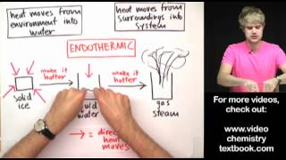 Phase Changes Exothermic or Endothermic [upl. by Emmie]