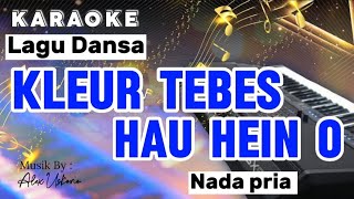 KARAOKEKLEUR TEBES HAU HEIN OLAGU DANSAnada pria💃🎹🎤🌴🔥 [upl. by Acilef]