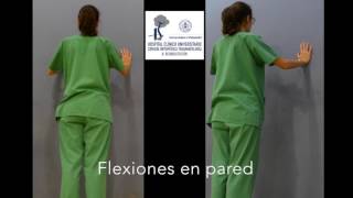 Video 13 Autofisioterapia fx hp flexiones en la pared [upl. by Yentruoc172]