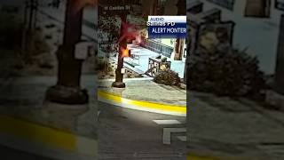 Mountain lion spotted in a California city’s downtown shorts shortsvideo [upl. by Anneirb]