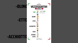 🇮🇹SHORT ITALIAN LESSONS  Vezzeggiativi di animali  Grammatica e vocabolario [upl. by Adnowat]