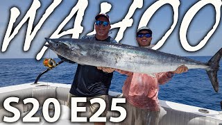 Wahoo Fishing Reports in Florida Where to Go and What to Know [upl. by Mechling]