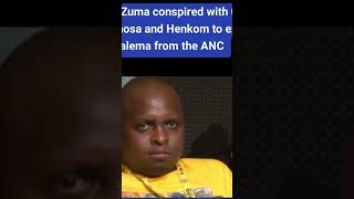 Julius Malema has been talking about land since his ANCYL days [upl. by Sheffie]