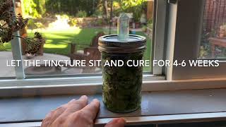 Making a Botanical Tincture with Borage [upl. by Jackie]