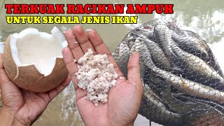 TERCIDUK UMPAN PALING AMPUH‼️UNTUK MANCING DI KOLAM amp SUNGAI [upl. by Martreb]