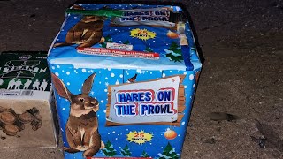 Hares on the Prowl 25 shots big bore firework [upl. by Valaria]