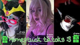 Homestuck cosplays amp tiktoks IN 2024 [upl. by Hillegass]