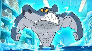 SUPER SHARK  Zig amp Sharko SEASON 3 BEST CARTOON COLLECTION  New Episodes in HD [upl. by Ahsehat980]