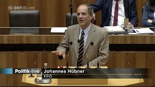 Johannes Hübner  Integrationsjahrgesetz  1652017 [upl. by Gove]