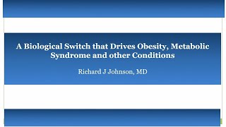 Richard Johnson MD A Biologic Switch that Drives Obesity Diabetes and other Common Diseases [upl. by Trager]