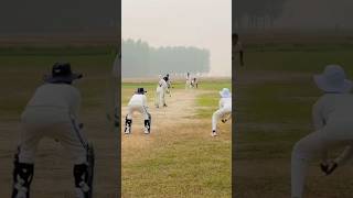 Top Slip Catches in Domestic Cricket  Best Slip Catches [upl. by Ilbert569]