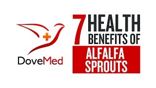 7 Health Benefits Of Alfalfa Sprouts [upl. by Annirak]