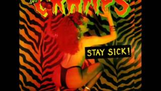 The Cramps  God Damn RocknRoll [upl. by Imuya491]