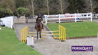 BRC HorseQuest Senior Arena Eventing Championships 2019 [upl. by Finbur]