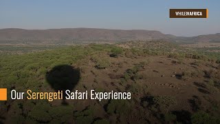 Our Serengeti Safari Experience [upl. by Reteip260]