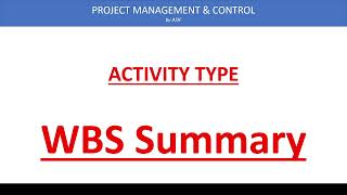 WBS Summary Task Activity [upl. by Ellegna]