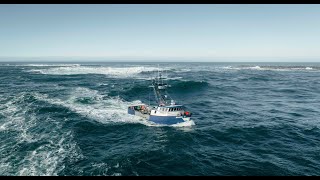 Just Visuals Dungeness Crab Season  Winchester Bay [upl. by Amaleta]