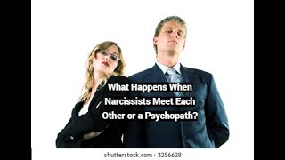 What Happens When Narcissists Meet Each Other or a Psychopath [upl. by Tamis]