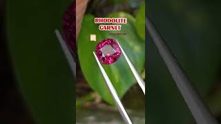 RHODOLITE GARNET rhodolitegarnetgarnetklikpermatabatupermatapasarrawabeningnaturalgems [upl. by Derreg28]