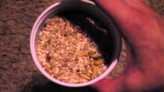 How to quotdustquot reptile food with calcium [upl. by Yankee]