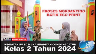 KEGIATAN P5 PROSES MORDANTING DALAM BATIK ECO PRINT KELAS 2 SD MUHAMMADIYAH CONDONGCATUR [upl. by Laith]