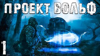 STALKER Проект Вольф 1 Пропавший Друг [upl. by Nasus]