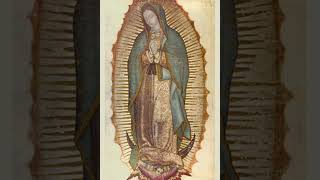 No Copyright Our Lady of Guadalupe Tilma Song [upl. by Chow]