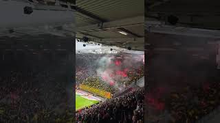 25 Years of Ultras Desperados BVB Pyro Show at Mainz Away Game [upl. by Jeminah]