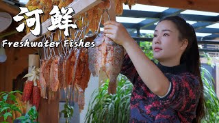 Freshwater Fishes Fresh Flavors from Streams in Yunnan Mountains【滇西小哥】 [upl. by Dnalyag]