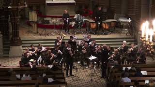 02 Svanen ur Djurens Karneval av C Saint Saens Arr R Steadman Allen [upl. by Murat455]